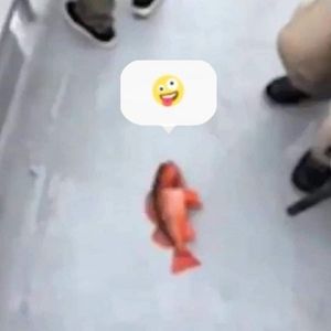 Meet your Posher, Leo